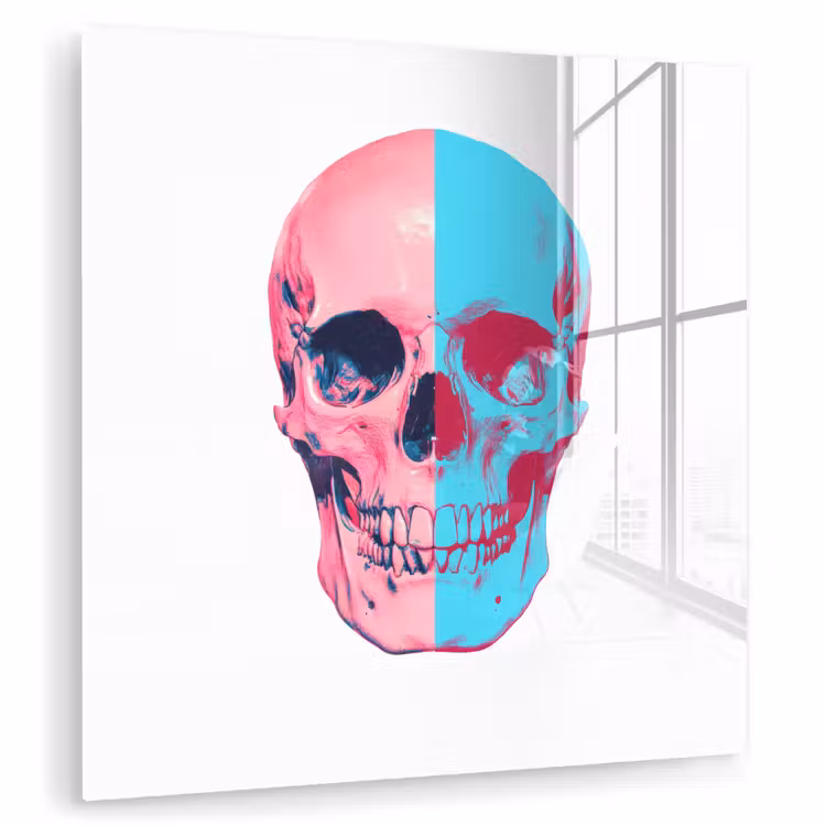 Schedel - Grafisch - Roze - Verdeeld plexiglas 5mm klein -zzzproduct_nieuw