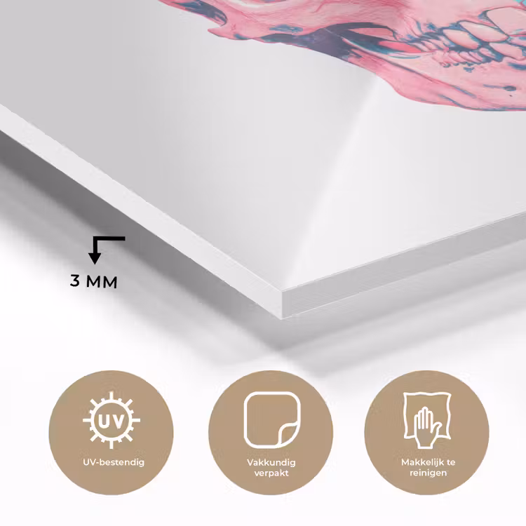 Schedel - Grafisch - Roze - Verdeeld plexiglas 5mm klein -sfeer2