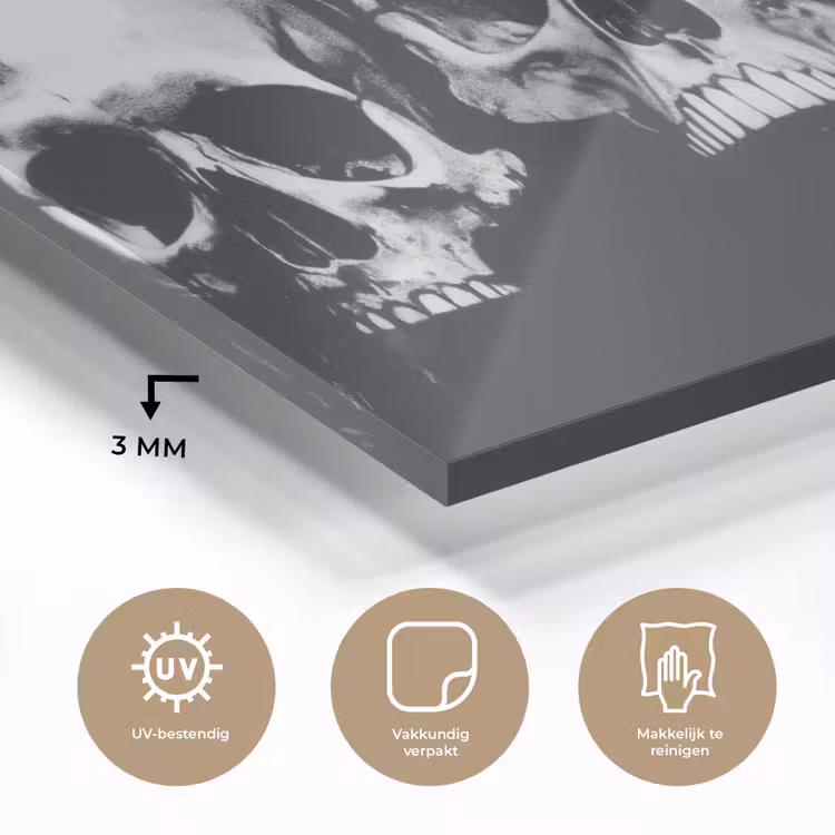Schedels - Zwart - Contrast plexiglas 5mm klein -sfeer2