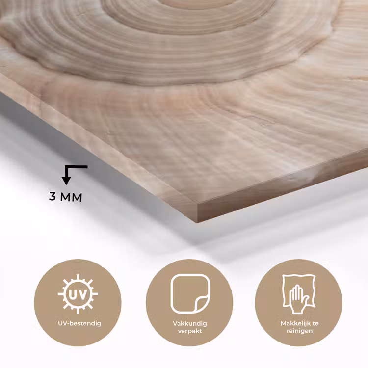 Schelp - Detail - Beige plexiglas 5mm klein -sfeer2