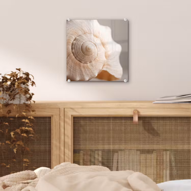Schelp - Detail - Beige plexiglas 5mm klein -sfeer4