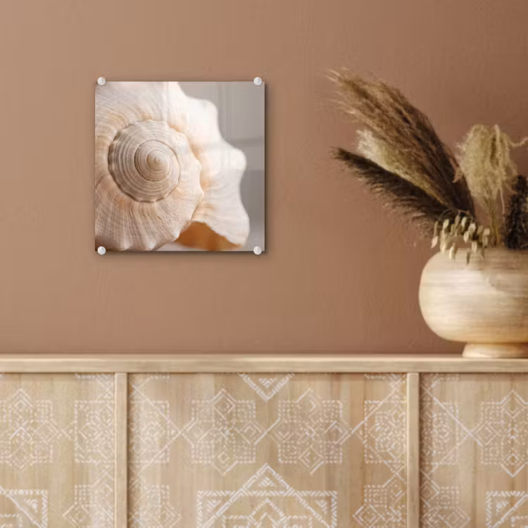 Schelp - Detail - Beige plexiglas 5mm klein -sfeer5