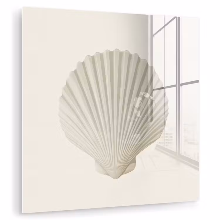Schelp - Minimalistisch - Wit plexiglas 5mm klein -zzzproduct_nieuw