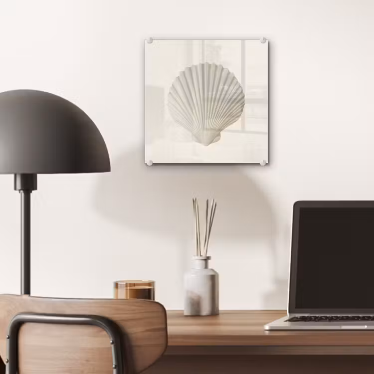 Schelp - Minimalistisch - Wit plexiglas 5mm klein -sfeer6