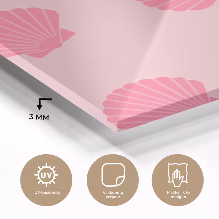 Schelp - Patroon - Zee - Modern - Roze plexiglas 5mm klein -sfeer2