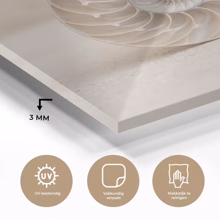 Schelp - Spiraal - Beige plexiglas 5mm klein -sfeer2