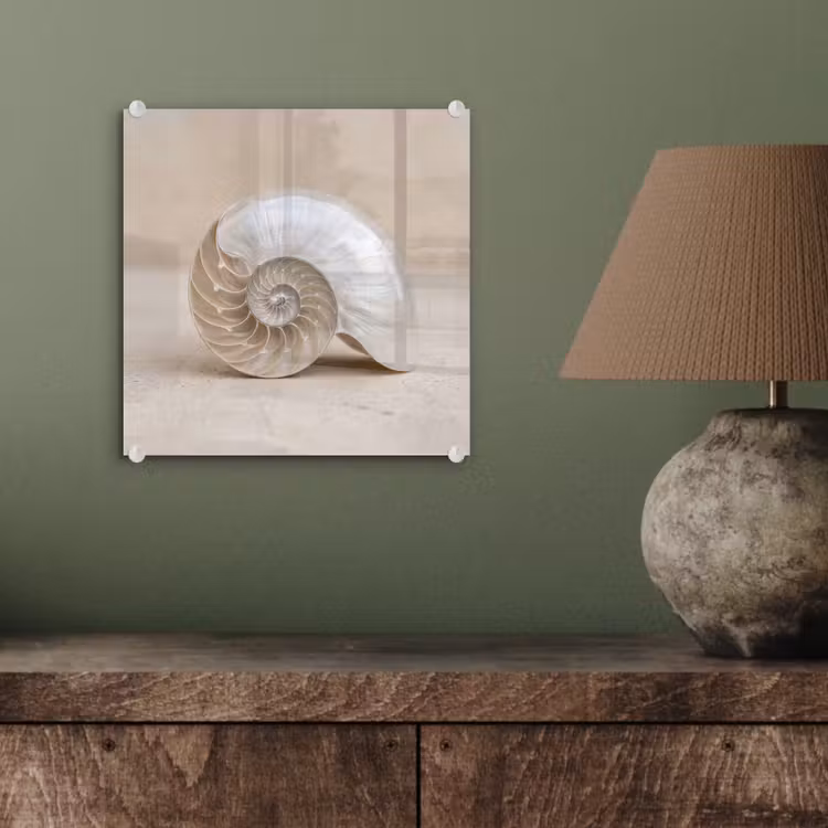 Schelp - Spiraal - Beige plexiglas 5mm klein -sfeer3