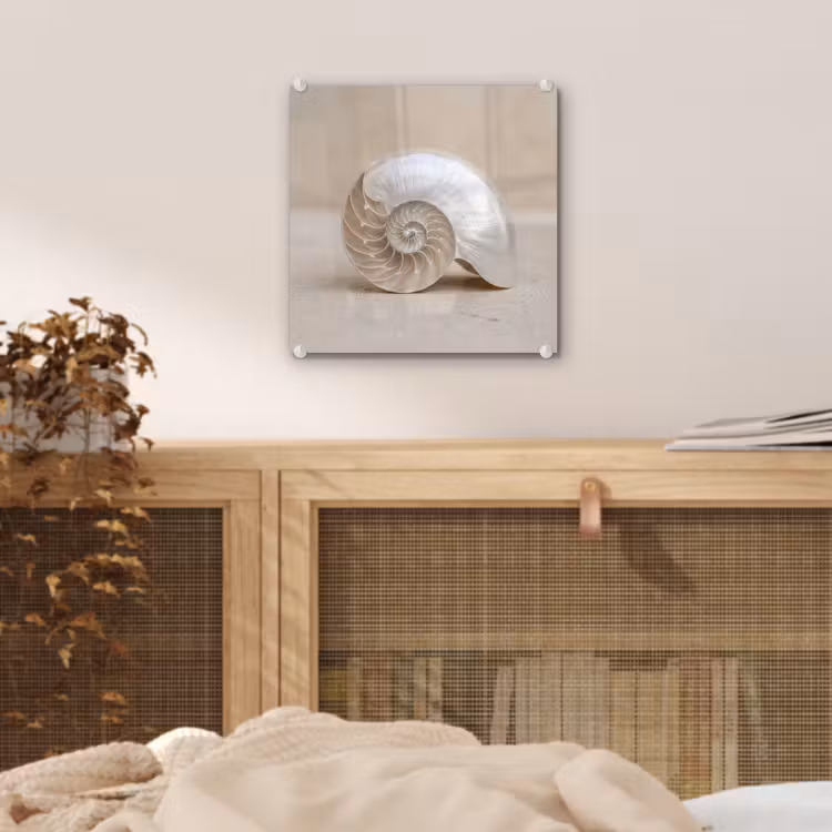 Schelp - Spiraal - Beige plexiglas 5mm klein -sfeer4