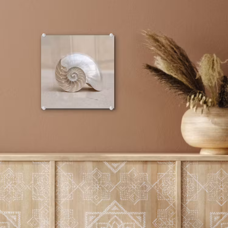 Schelp - Spiraal - Beige plexiglas 5mm klein -sfeer5