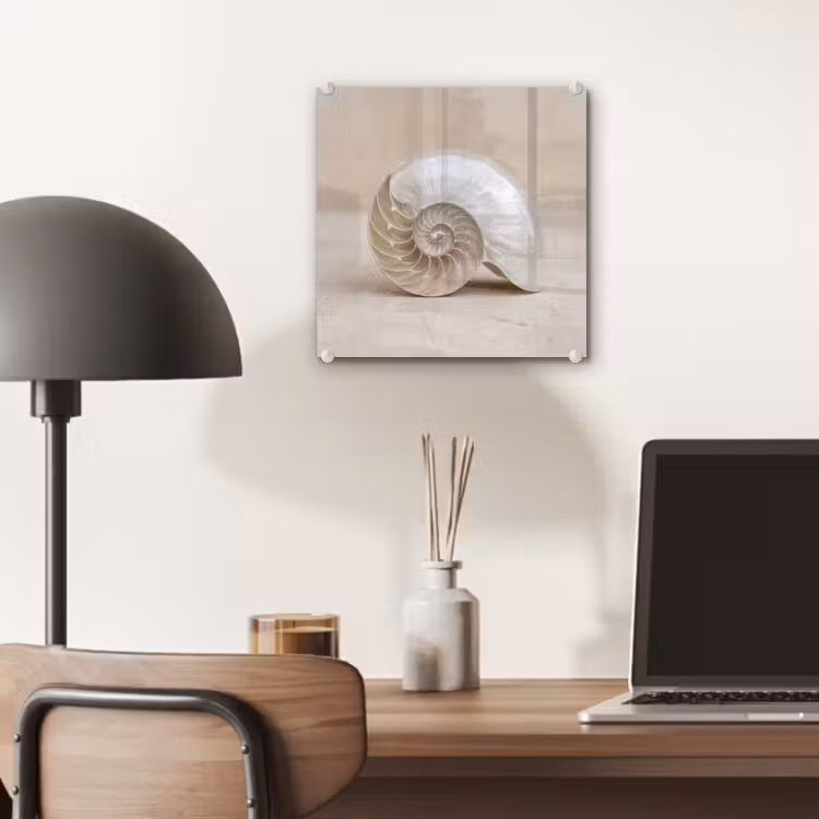 Schelp - Spiraal - Beige plexiglas 5mm klein -sfeer6