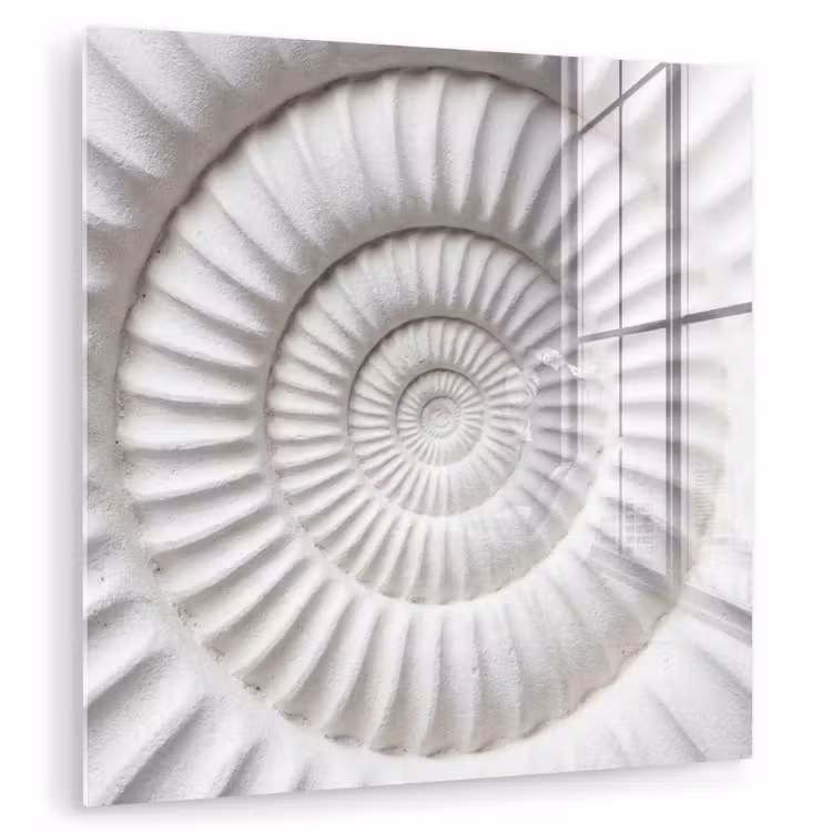 Schelp - Spiraal - Wit plexiglas 5mm klein -zzzproduct_nieuw