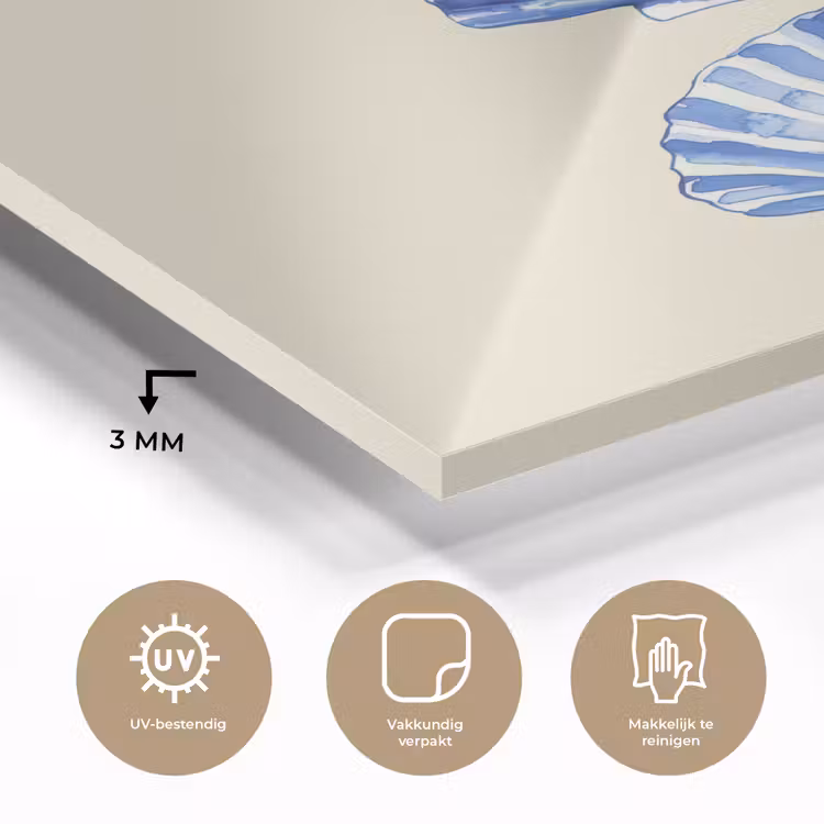Schelpen - Blauw - Beige plexiglas 5mm klein -sfeer2