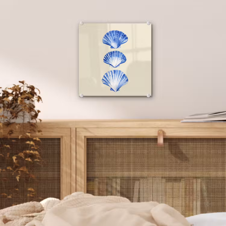 Schelpen - Blauw - Beige plexiglas 5mm klein -sfeer4