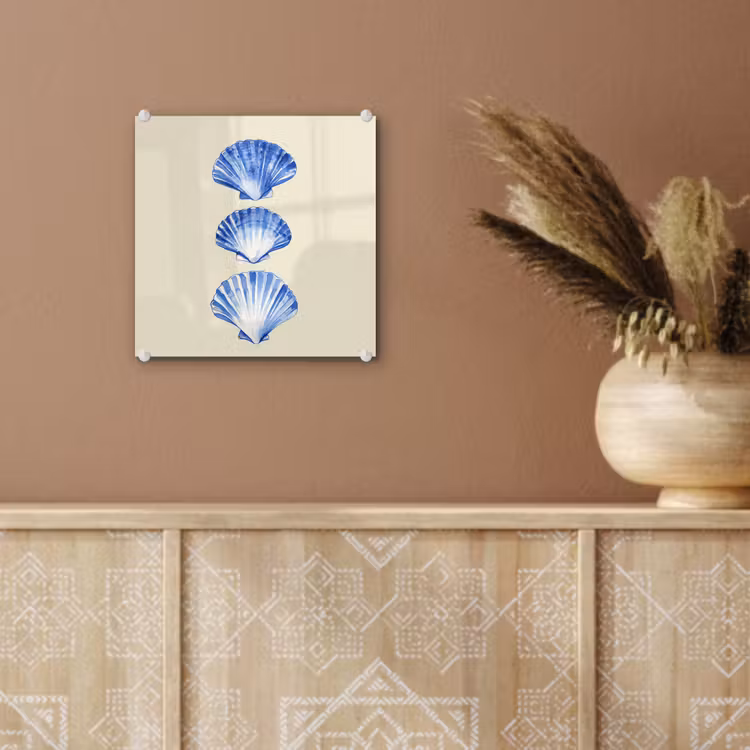 Schelpen - Blauw - Beige plexiglas 5mm klein -sfeer5