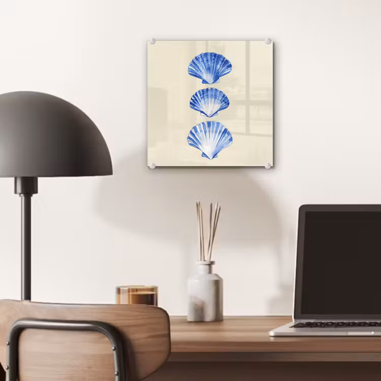 Schelpen - Blauw - Beige plexiglas 5mm klein -sfeer6