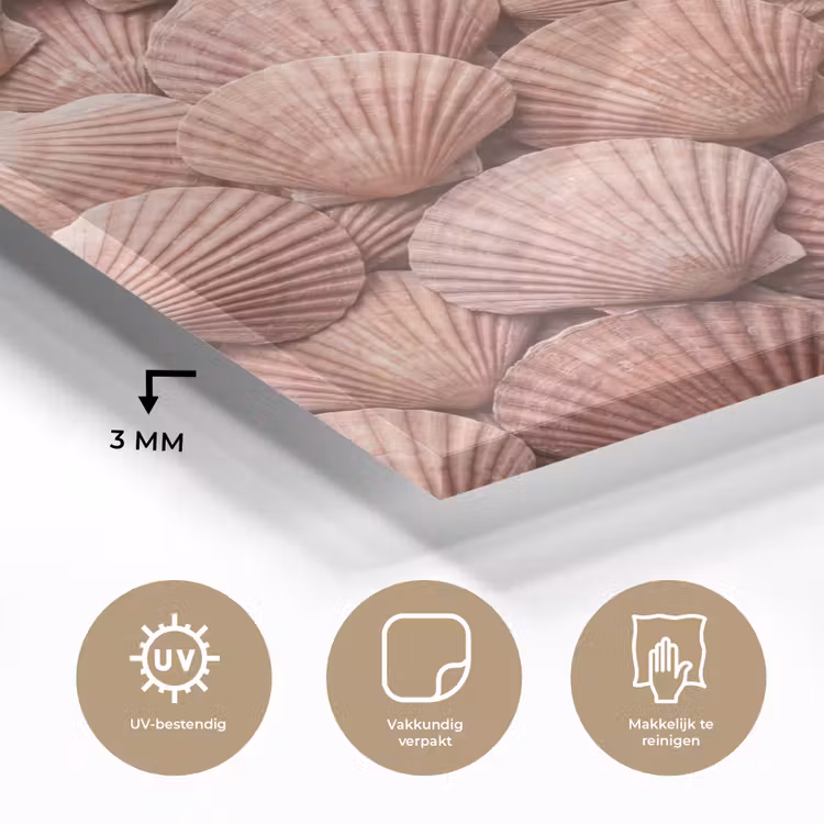 Schelpen - Patroon - Roze plexiglas 5mm klein -sfeer2