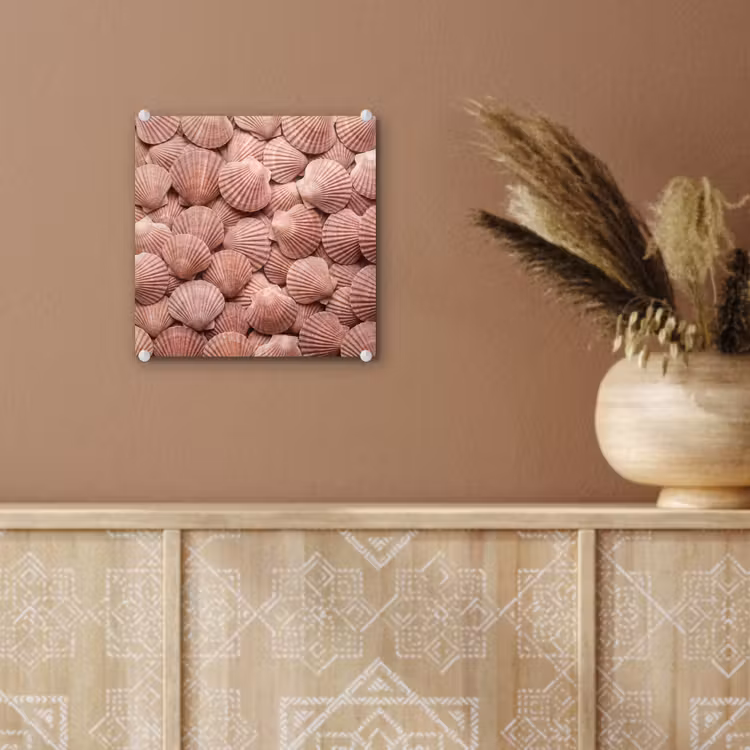 Schelpen - Patroon - Roze plexiglas 5mm klein -sfeer5
