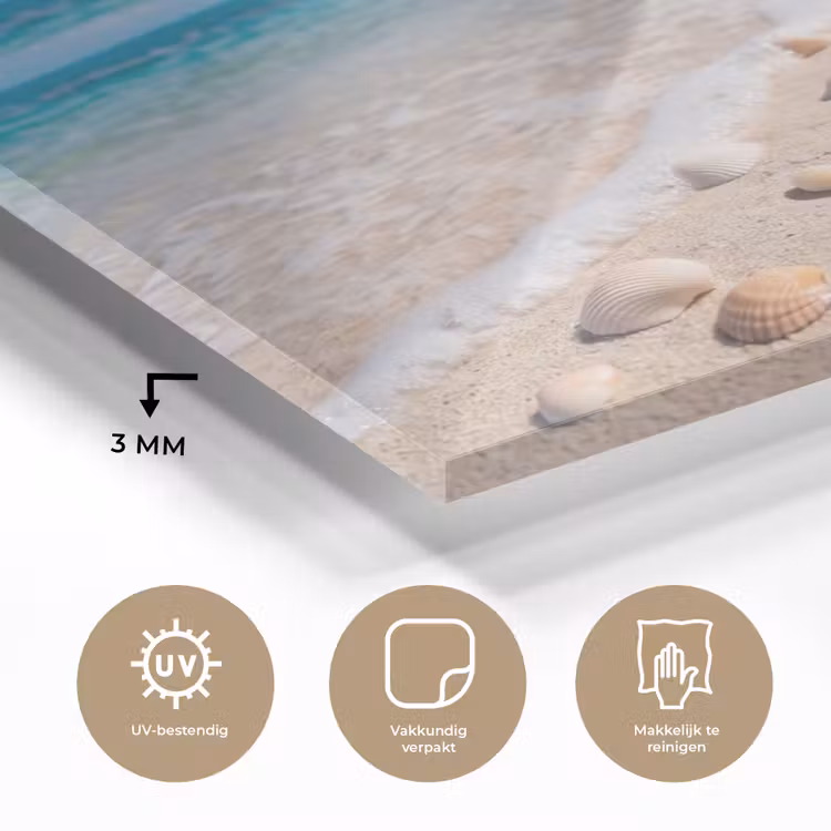 Schelpen - Strand - Natuur - Beige plexiglas 5mm klein -sfeer2