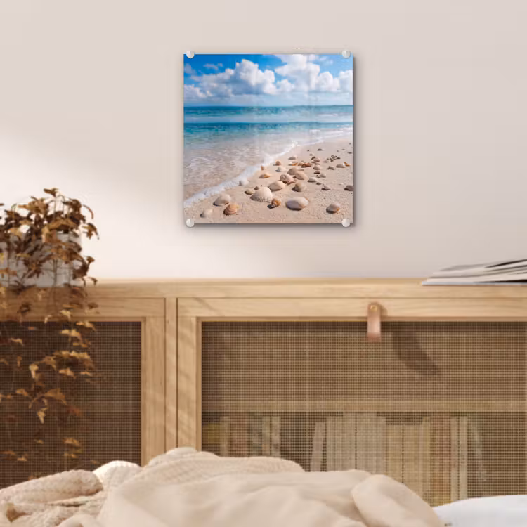 Schelpen - Strand - Natuur - Beige plexiglas 5mm klein -sfeer4