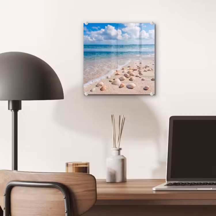 Schelpen - Strand - Natuur - Beige plexiglas 5mm klein -sfeer6