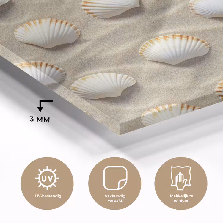 Schelpen - Zand - Maritiem plexiglas 5mm klein 11 -sfeer2