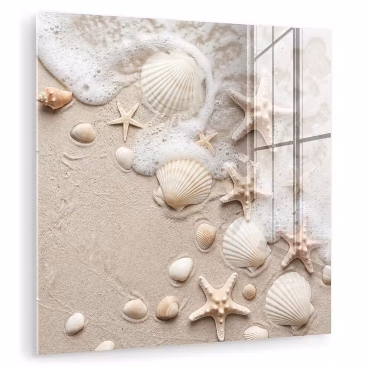 Schelpen - Zeesterren - Strand plexiglas 5mm klein -zzzproduct_nieuw