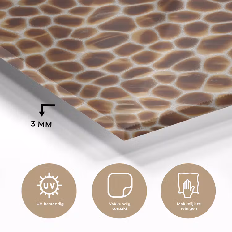 Schildpad - Bruin - Patroon plexiglas 5mm klein 11 -sfeer2