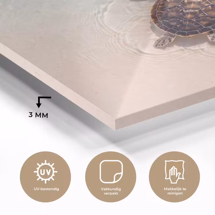 Schildpad - Helder water - Strand - Dieren - Natuur plexiglas 5mm klein -sfeer2