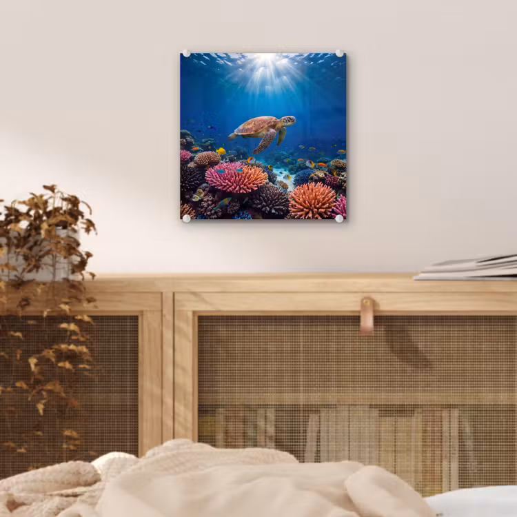 Schildpad - Koraalrif - Oceaan - Dieren - Blauw plexiglas 5mm klein -sfeer4