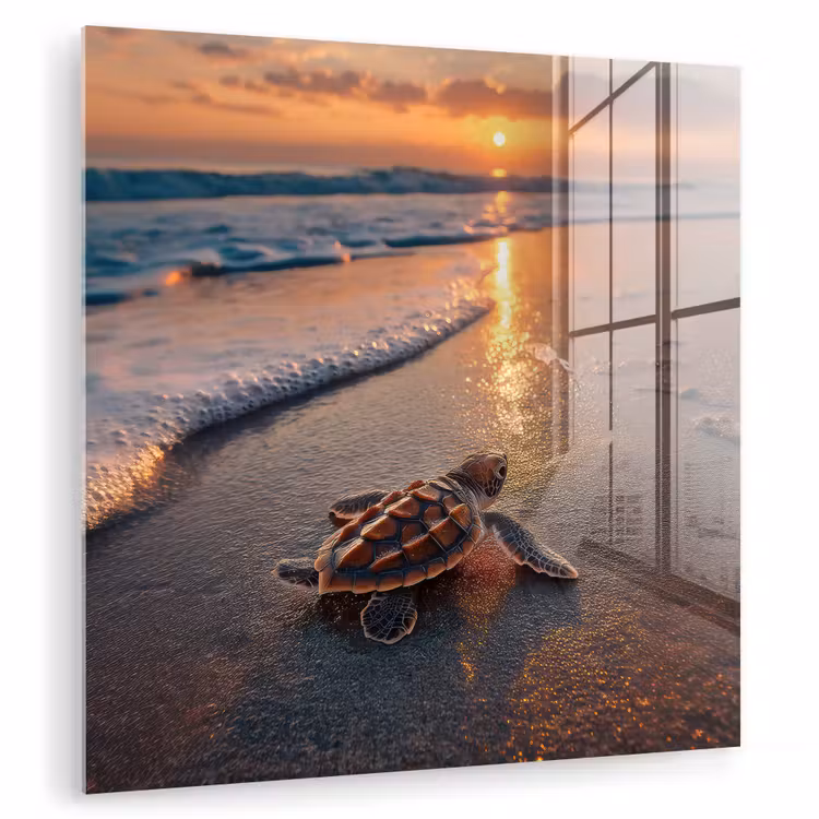 Schildpad - strand - Zonsondergang plexiglas 5mm klein -zzzproduct_nieuw