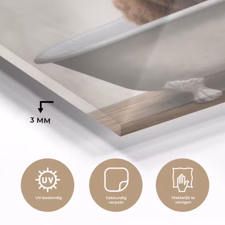 Schotse hooglander - Bad - Badkamer - Badkuip - Bruin - Horens plexiglas 5mm klein -sfeer2