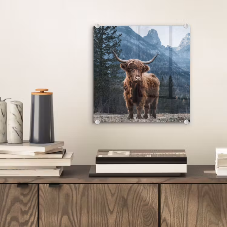 Schottische Highlander - Berg - Landschaft - Bäume - Kuh - Natur plexiglas 5mm klein -sfeer1