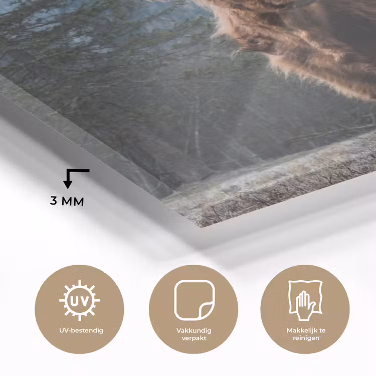 Schottische Highlander - Berg - Landschaft - Bäume - Kuh - Natur plexiglas 5mm klein -sfeer2