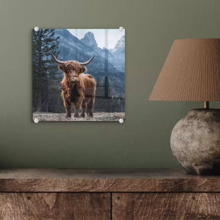 Schottische Highlander - Berg - Landschaft - Bäume - Kuh - Natur plexiglas 5mm klein -sfeer3