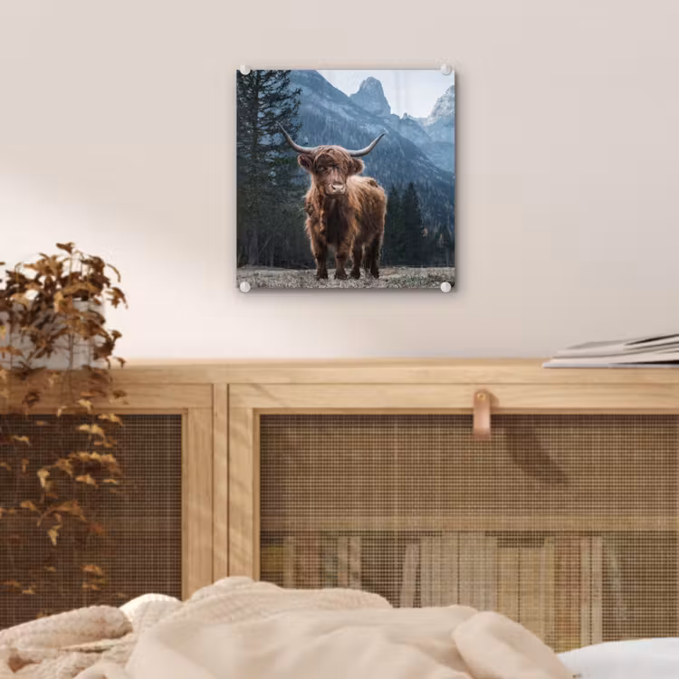Schottische Highlander - Berg - Landschaft - Bäume - Kuh - Natur plexiglas 5mm klein -sfeer4