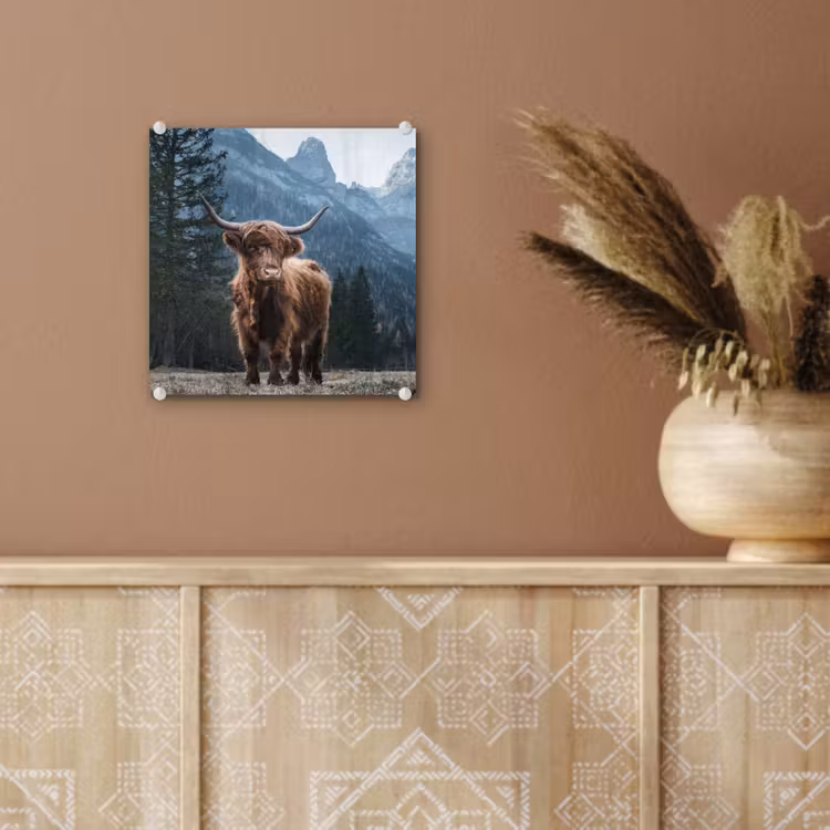 Schottische Highlander - Berg - Landschaft - Bäume - Kuh - Natur plexiglas 5mm klein -sfeer5
