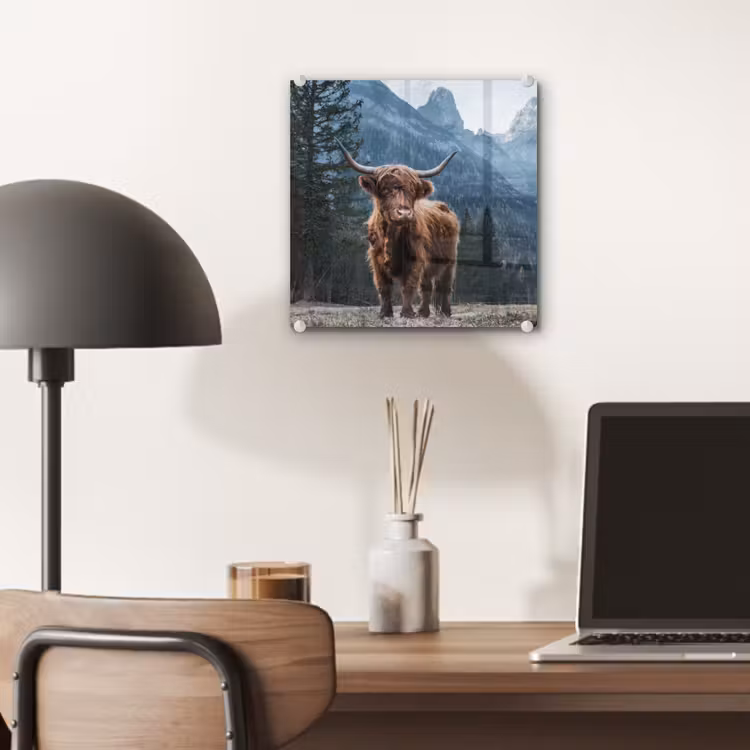 Schottische Highlander - Berg - Landschaft - Bäume - Kuh - Natur plexiglas 5mm klein -sfeer6