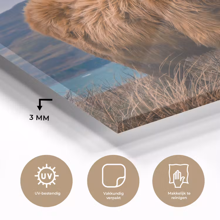 Schotse Hooglander - Berg - Water - Natuur - Koe plexiglas 5mm klein -sfeer2