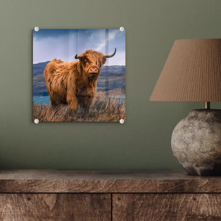 Schotse Hooglander - Berg - Water - Natuur - Koe plexiglas 5mm klein -sfeer3