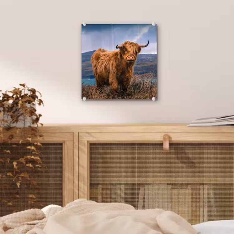 Schotse Hooglander - Berg - Water - Natuur - Koe plexiglas 5mm klein -sfeer4