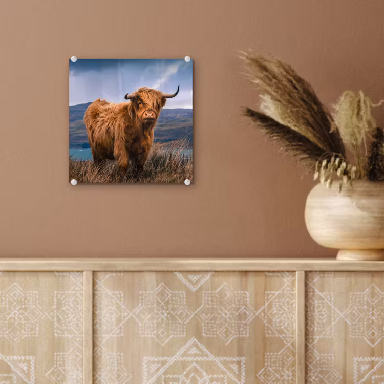 Schotse Hooglander - Berg - Water - Natuur - Koe plexiglas 5mm klein -sfeer5
