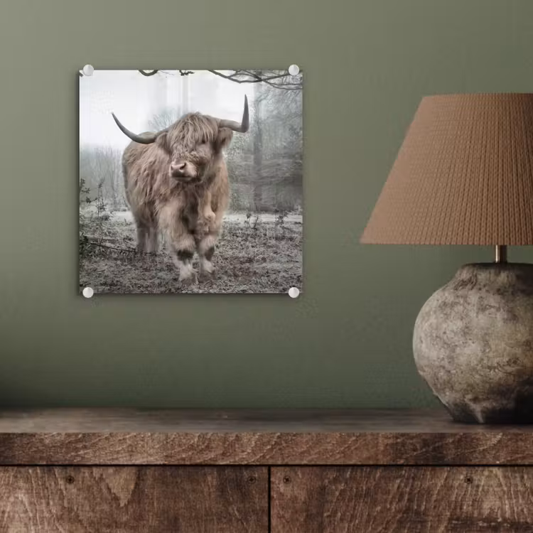 Schotse Hooglander - Bos - Mist - Koe - Dieren - Natuur plexiglas 5mm klein -sfeer3
