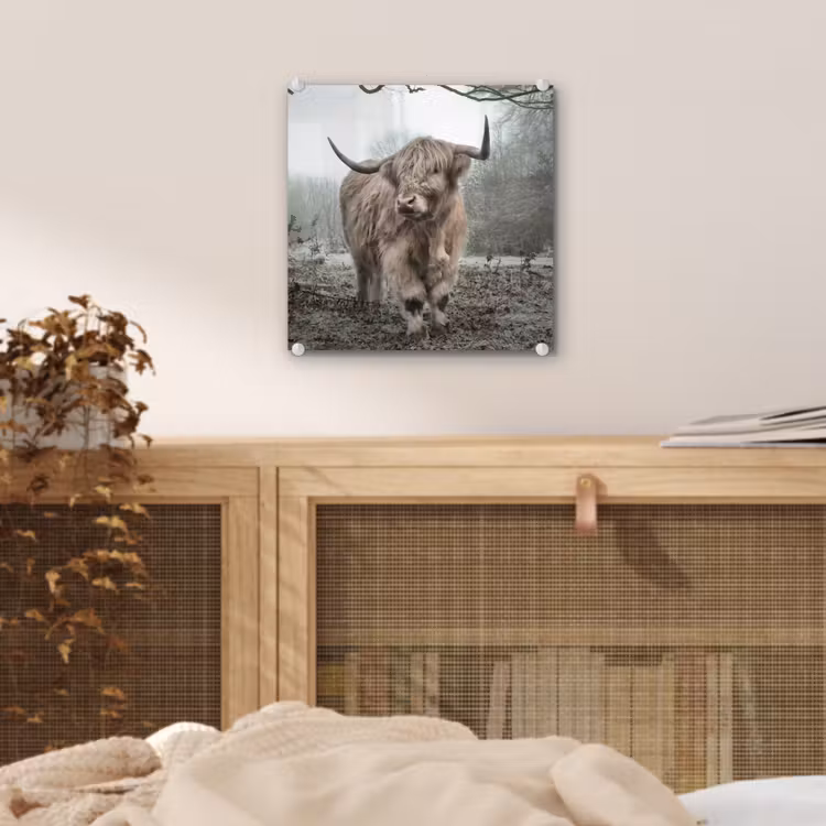 Schotse Hooglander - Bos - Mist - Koe - Dieren - Natuur plexiglas 5mm klein -sfeer4
