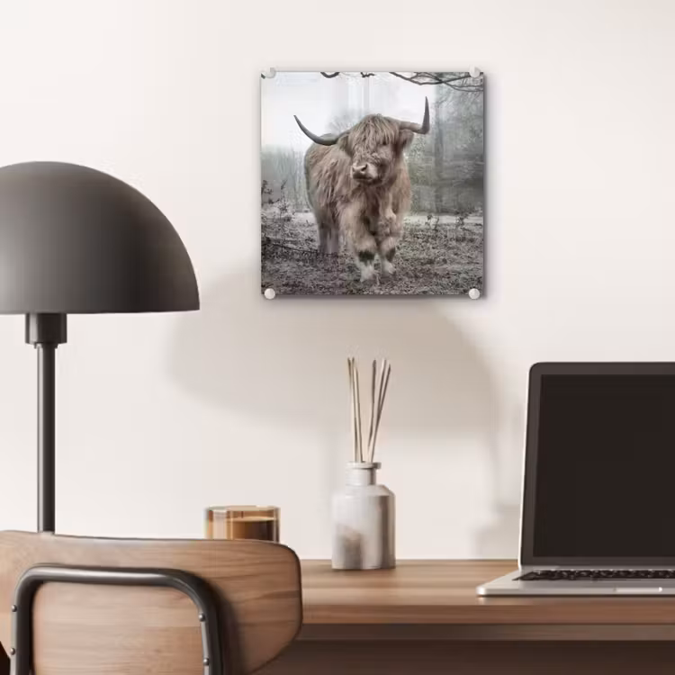 Schotse Hooglander - Bos - Mist - Koe - Dieren - Natuur plexiglas 5mm klein -sfeer6