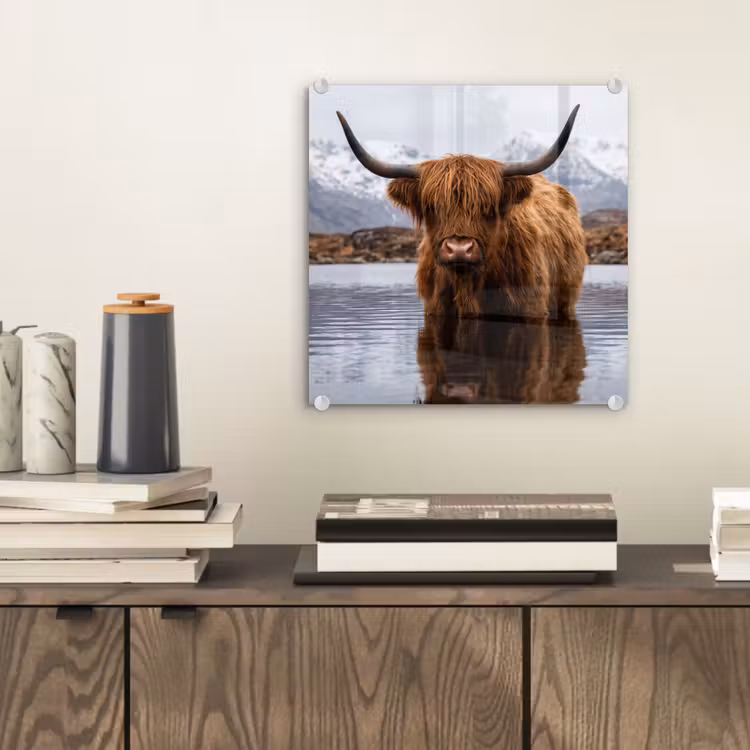 Schotse hooglander - Bruin - Water plexiglas 5mm klein -sfeer1