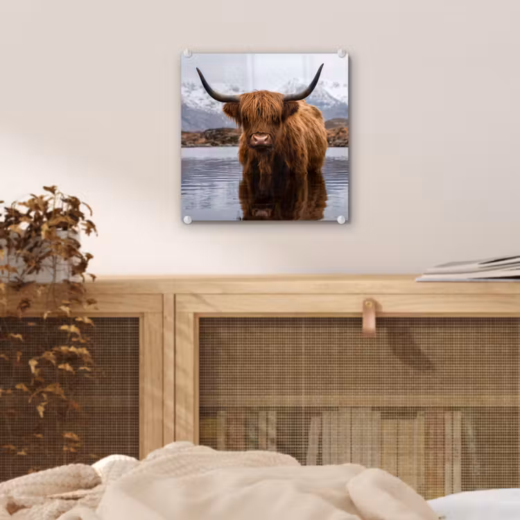 Schotse hooglander - Bruin - Water plexiglas 5mm klein -sfeer4