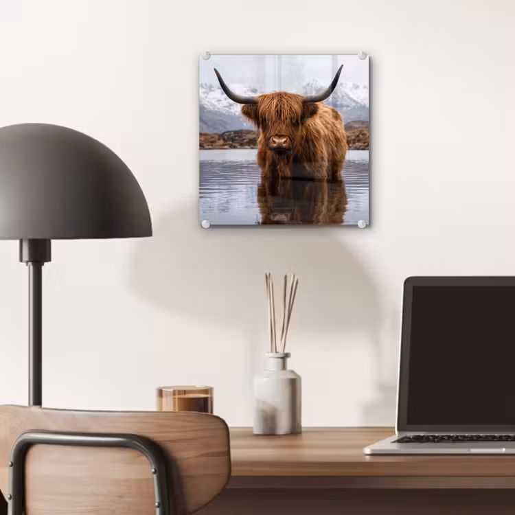 Schotse hooglander - Bruin - Water plexiglas 5mm klein -sfeer6