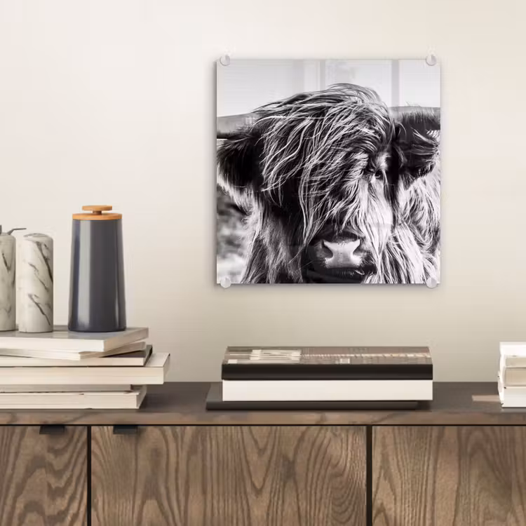 Schotse hooglander - Close up - Horens - Vacht - Zwart Wit plexiglas 5mm klein -sfeer1