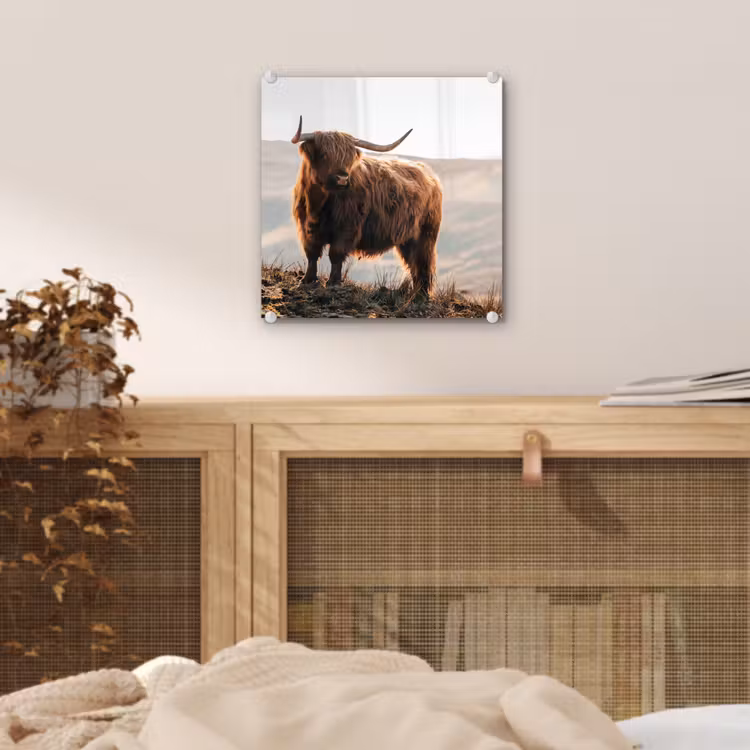 Schotse hooglander - Dieren - Landelijk - Landschap - Koe - Natuur plexiglas 5mm klein -sfeer4