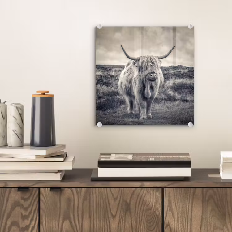 Schotse hooglander - Dieren - Wolken - Koe - Natuur plexiglas 5mm klein -sfeer1